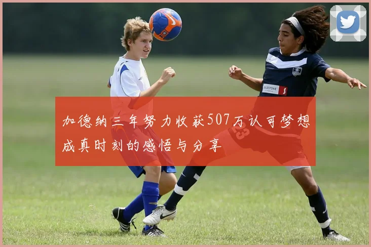 加德纳三年努力收获507万认可梦想成真时刻的感悟与分享